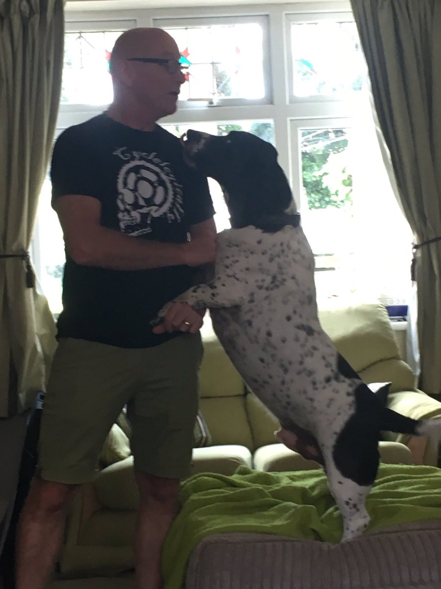 HarrisKeri's tweet photo. @JoleeMockler @NZAlis77 Eddy #springbatt telling @bikepatch that it's time for his walk. ❤️😍❤️ https://t.co/HnwgUiKtMF