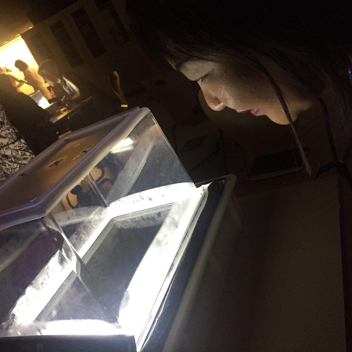 anivarGatisereT's tweet image. It is so cool! #SCoolLab #cern