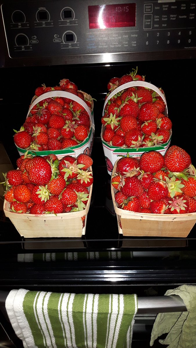 Bounty of the season. Fresh picked. Will make some delish daquiries. #strawberrydelight #yummm