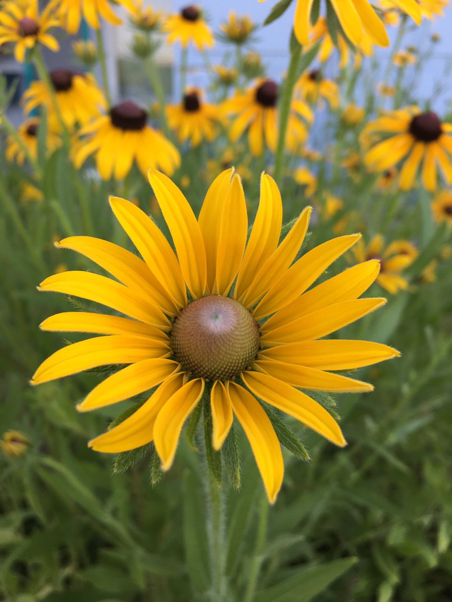 RobbinBowler's tweet image. 