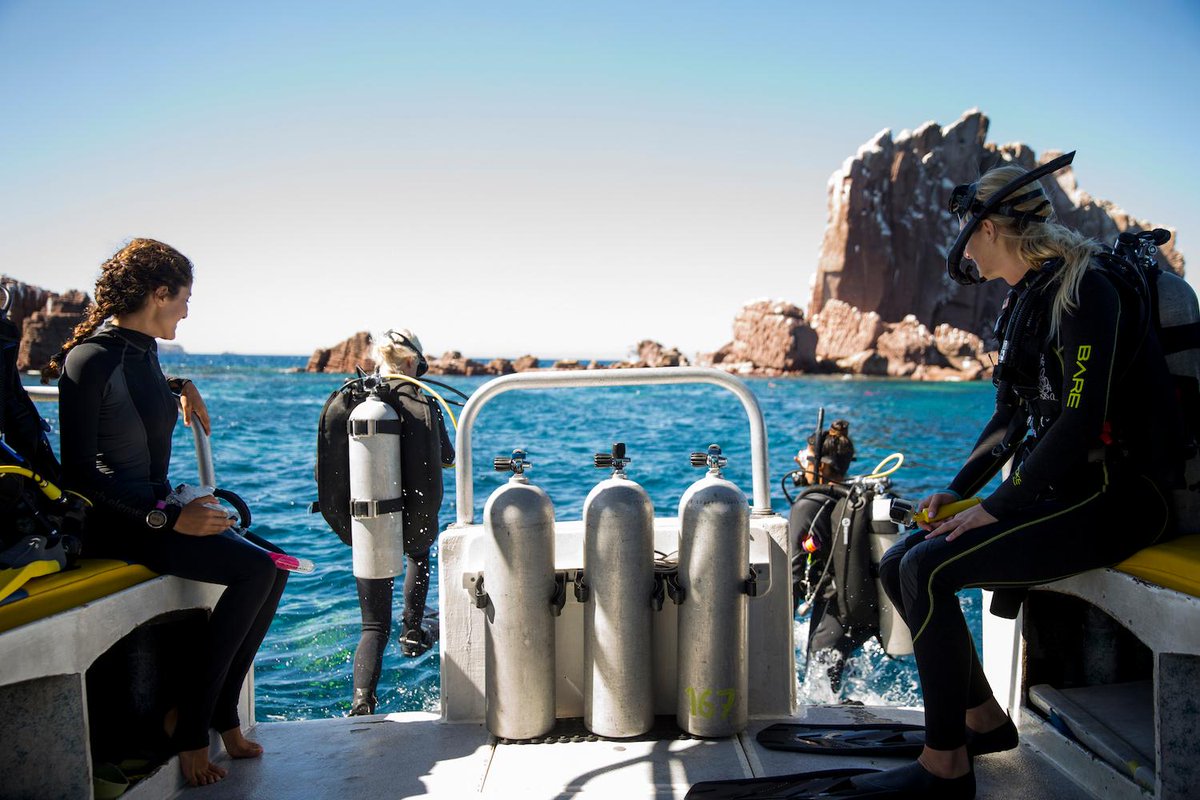 PADI's tweet photo. We're just 10 days away from #PADIWomensDiveDay! Which event are you attending? https://t.co/Ef0BrSJVlu https://t.co/4nSngZJWSO