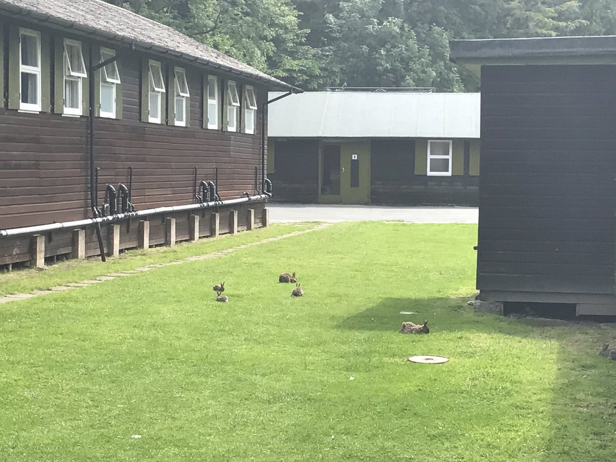 Checked in! All the beds have been made....eventually! The locals seem nice! #Colomendy2017