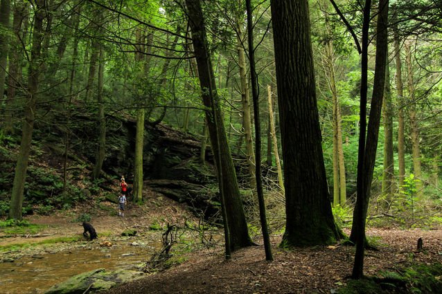 LancasterOnline's tweet image. 10 great places to go hiking in Lancaster County goo.gl/kgQLRM
