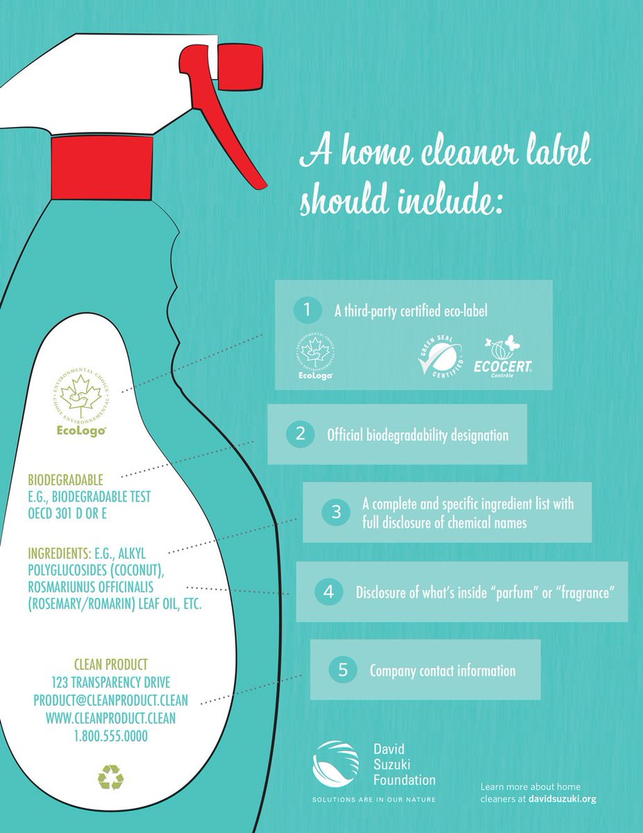 PyngleApp's tweet image. When #cleaning your home it's important to use environmentally friendly products. Follow this infographic to determine what's safe