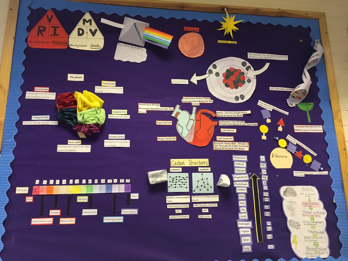 WhitbyCCMentors's tweet photo. Our new 3D Science wall 🔬 https://t.co/hWU7cfUphx