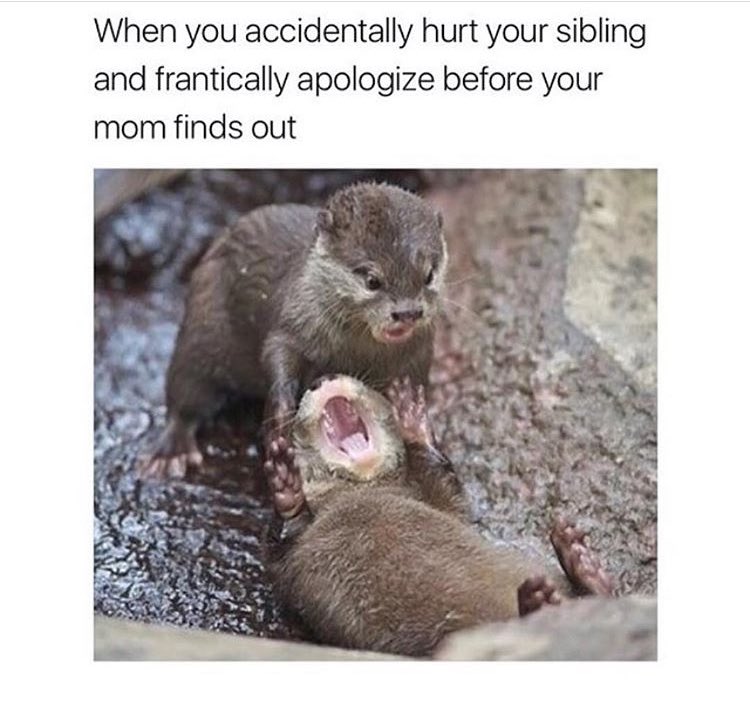 Relatable😂