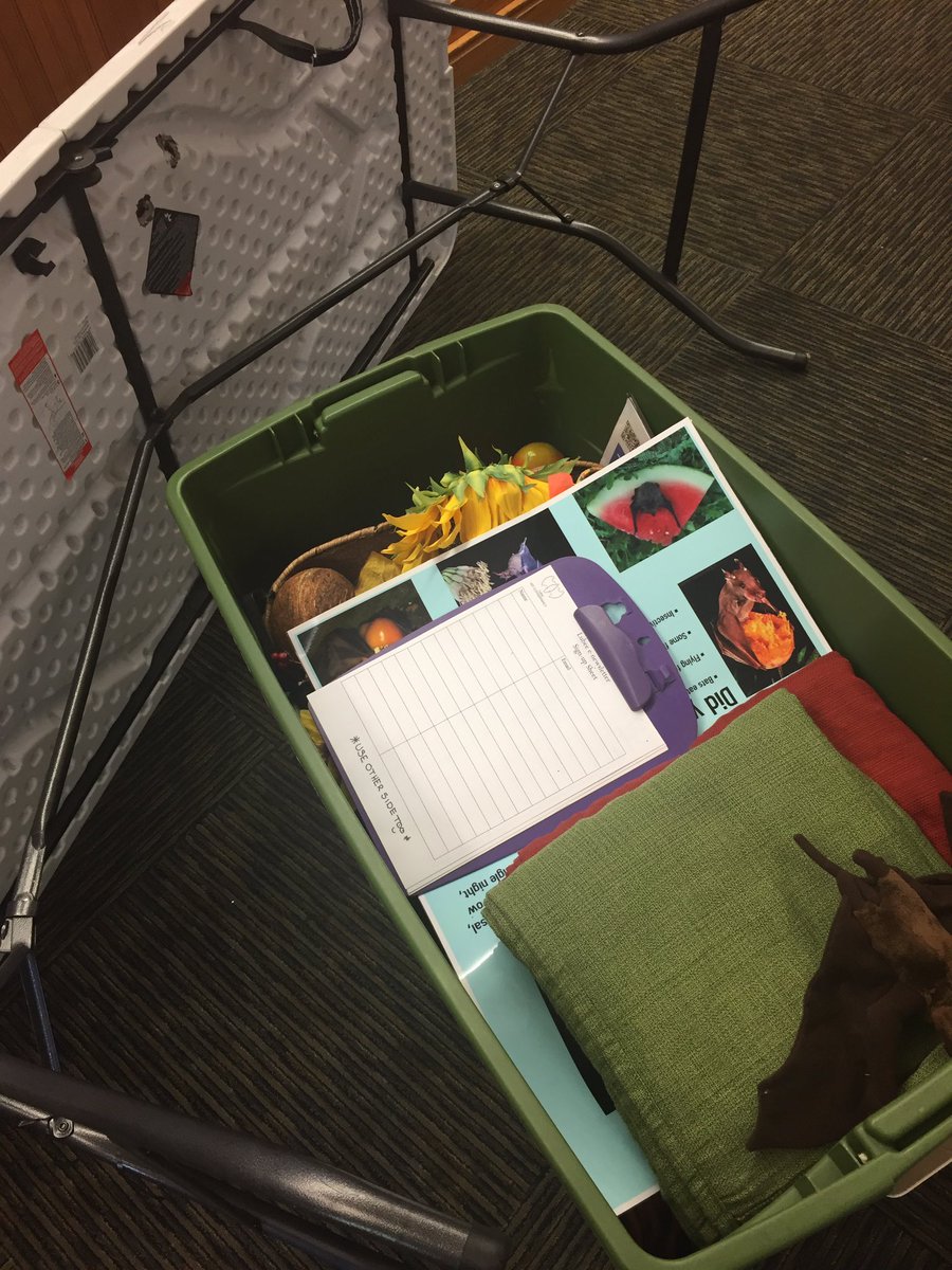 BatConservancy's tweet photo. Getting all set up at the Millhopper branch of @alachualibrary. Gonna turn some kids into new #batfans! https://t.co/dzr3LtXzp8