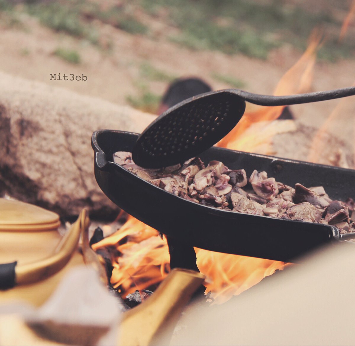 متعب | AlUla tweet media