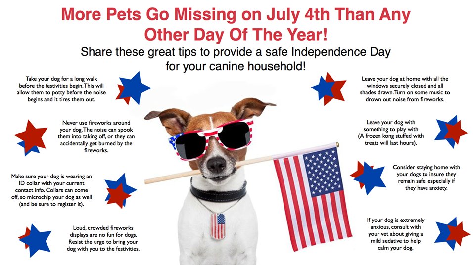 gofetchfordogs's tweet photo. Keep Fido safe this Fourth of July with these tips! #gofetchfordogs #petsafety #HappyFourthofJuly #dogsoftwitter https://t.co/RAm7WktM0M