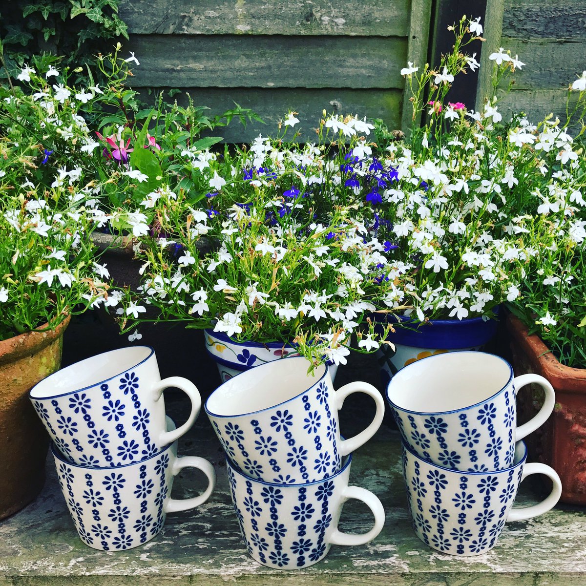 look4W2's tweet photo. Don't forget about our #additionalgifts - you can apply as many times as you like! These beautiful #mugs are worth £30! #free #cancer #gifts https://t.co/2Ai0ocdsoE