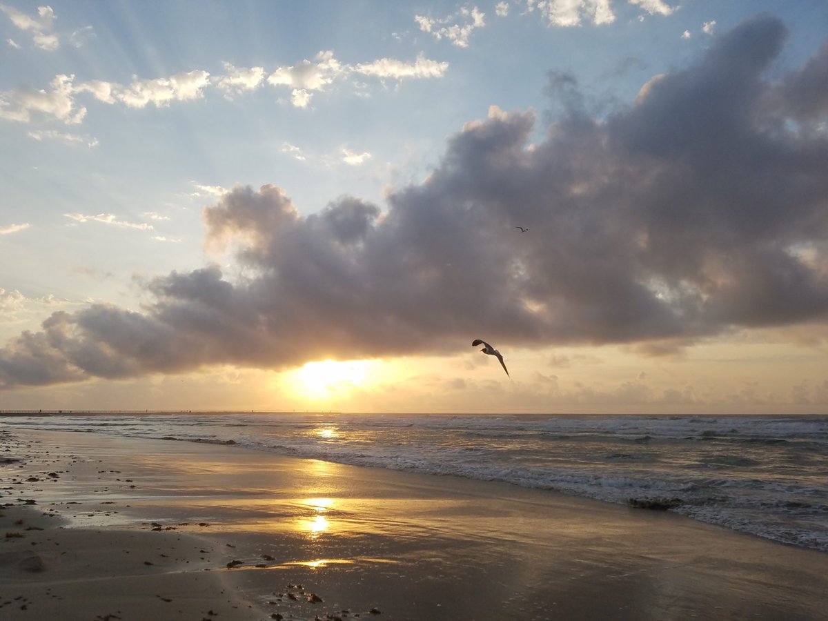 nglmitu's tweet photo. Heading to #Texas? Visit one of these 7 Texas Beaches Thanks @AprilMonterrosa! https://t.co/iuyVF6d3hr #HispzTX #Hispz17 #dimemedia https://t.co/wTeSPwSmVU