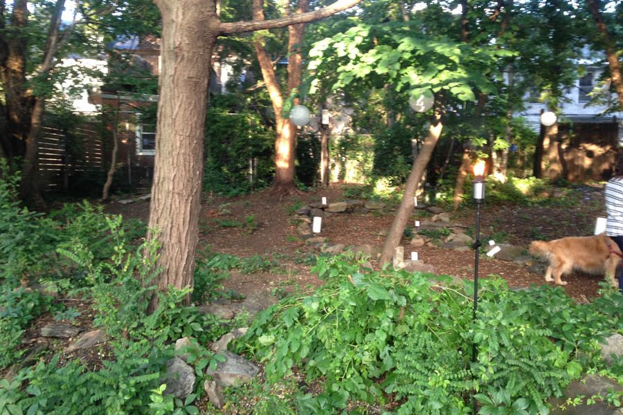 Orkney Park is "the last wilderness" in Northern Liberties.

spiritnews.org/articles/orkne…