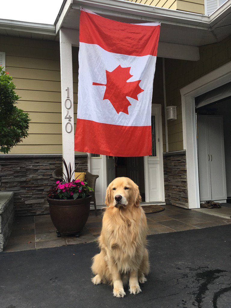 GarthPieper's tweet photo. Two of the things I love, my Country and my Golden... https://t.co/XAhxGYZCuO