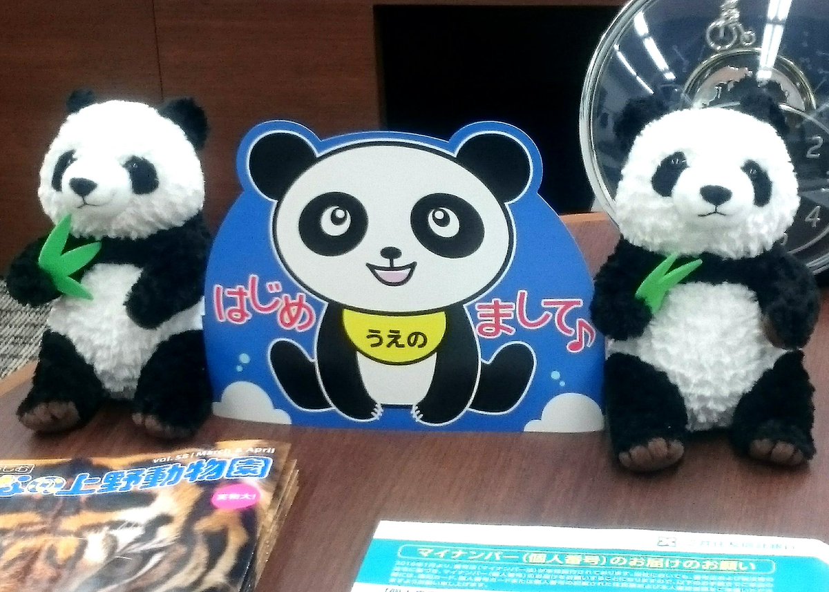 あーや パンダ V Twitter 上野周辺の金融機関のロビーにも パンダの赤ちゃん誕生を祝う飾りつけがありました やっぱり 上野はパンダがいる街です