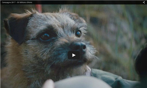 Campagne 2017 de 30 Millions d'Amis francesurf.net/blog/campagne-…