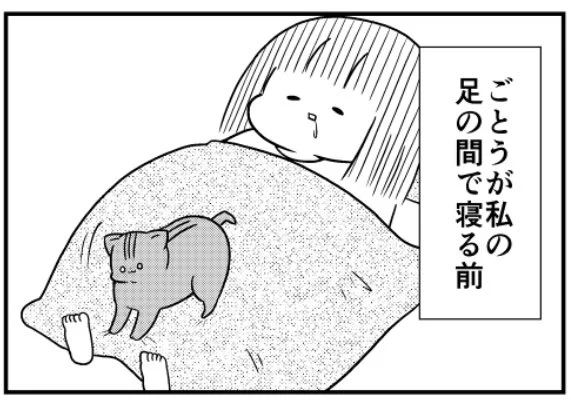 猫のきにゃと、ごとうさん (124) ちゃんとしてる  #マイナビニュース
連載更新されました。こういうところが可愛い 