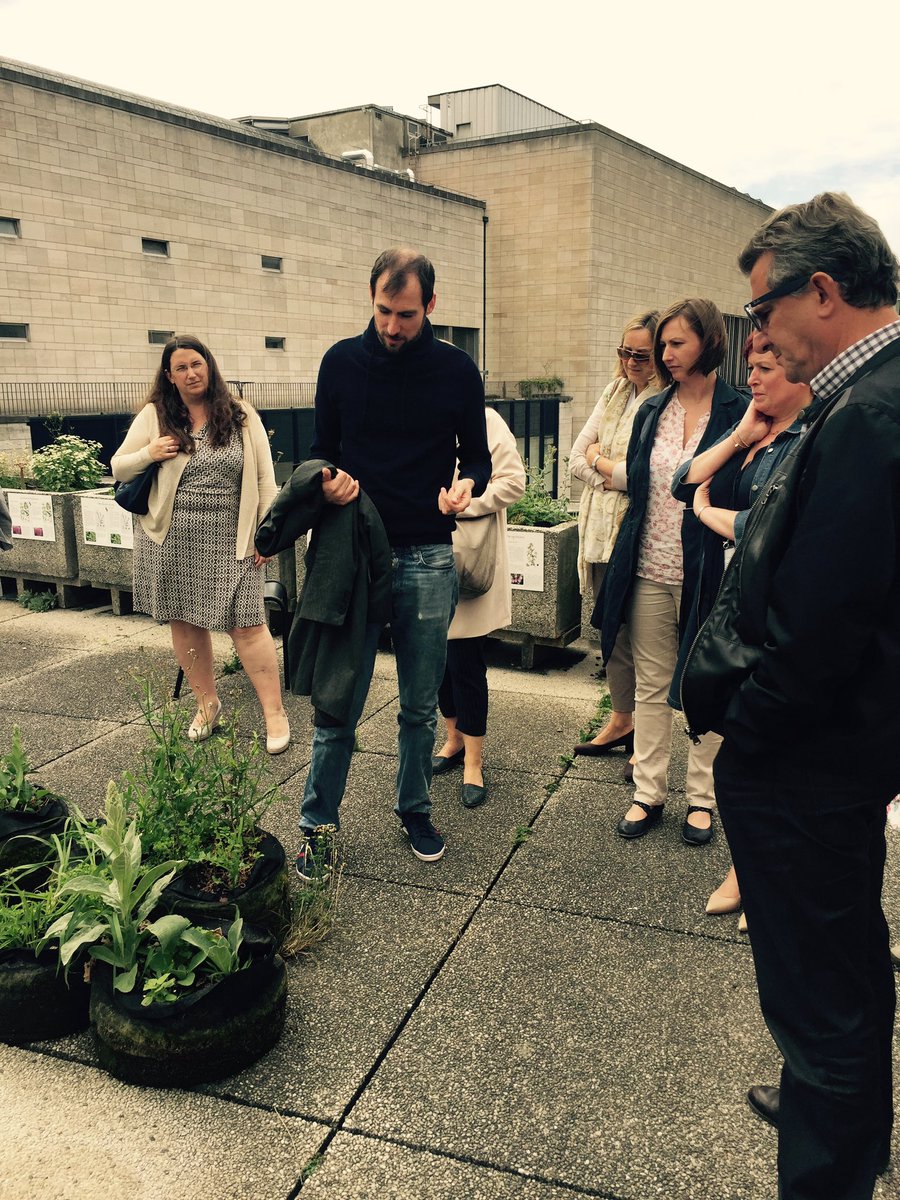 axellevaneyll1's tweet photo. Discovering #potage-toît, a vegetable garden on the roof of #albertine. Incredible impact on insects and birds #ourjob2 #CSR https://t.co/GZLgGqDKOX