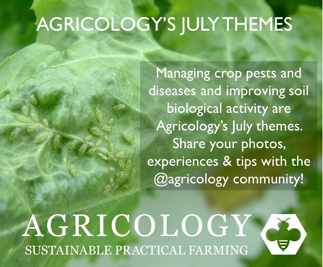 Tag us in your tweets to share your photos, tips &amp; experiences of July's themes with the <a href="/agricology/">Agricology</a> community! #pests #crops #soilhealth