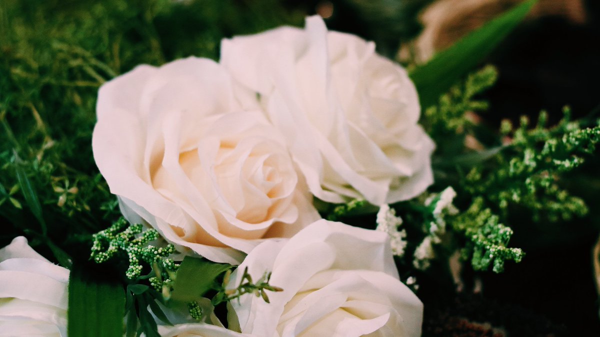 OfficialLIW's tweet photo. "Therefore shall a man leave his father and his mother, and shall cleave unto his wife: and they shall be one flesh."- Genesis 2:24 https://t.co/NaJSt1FNeJ
