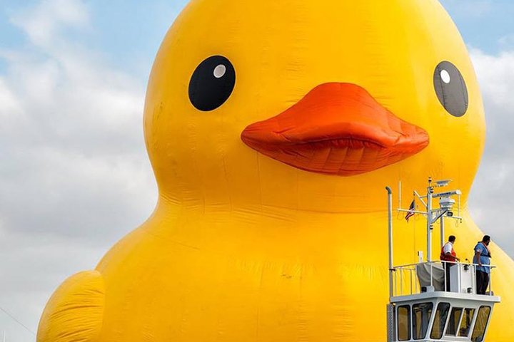 lumberjack rubber duckies