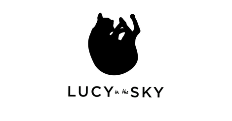 Aron Ashab tweet media