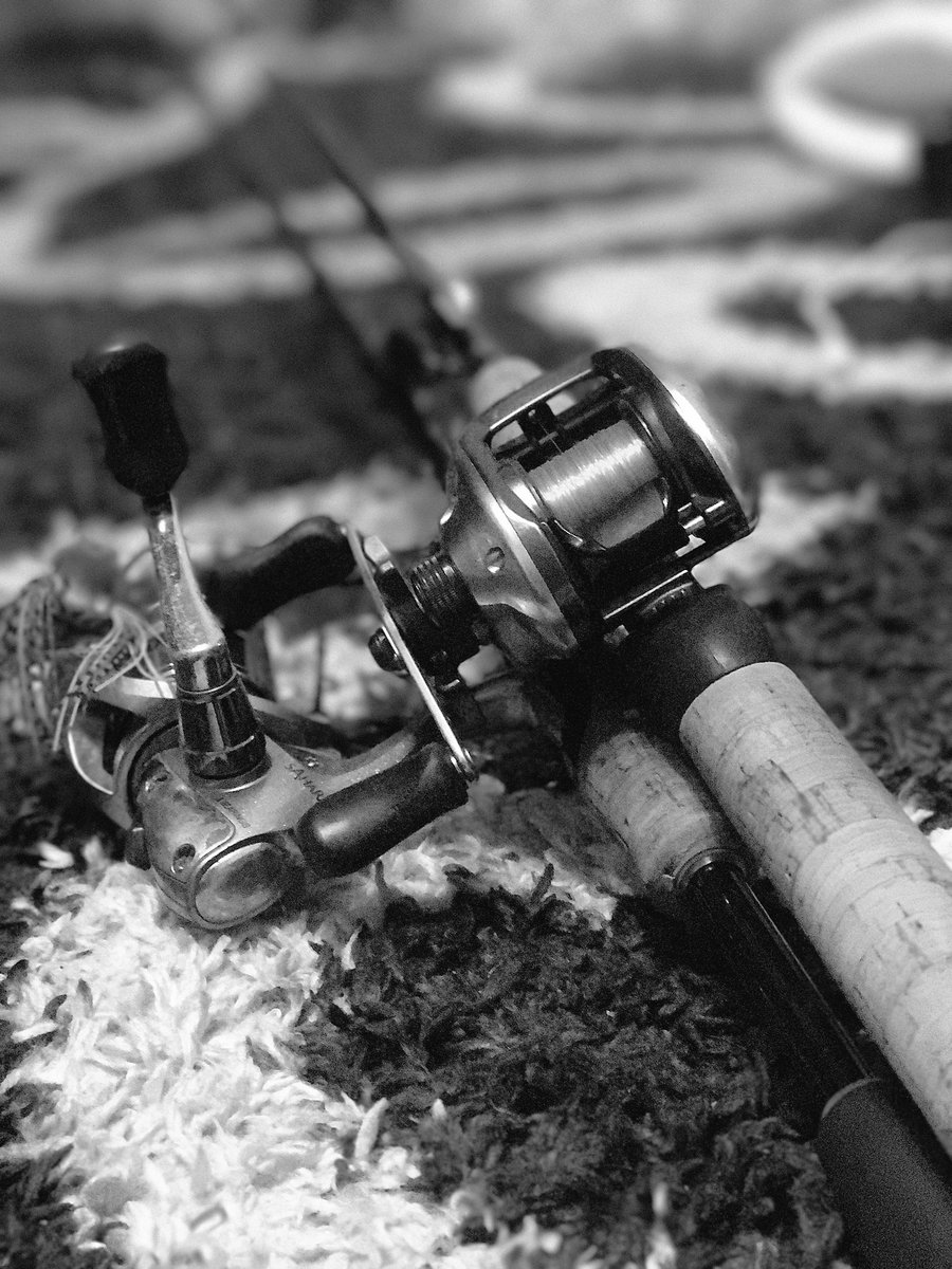 今年は2回しか釣行行けてないなぁ💭

あの時あの決断していなければ今のこの生活は無かったんだろうな😂

もっと早くやってればよかった＾＾
出会いと決断力で生活変わると実感出来ました👏
#鯰 #副業 #趣味 #お金 #時間