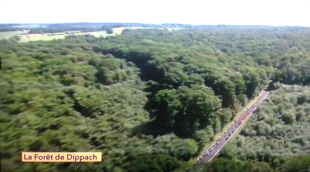 juanfdelacruz's tweet photo. Bosques de #Dippach .
#TDF2017 #ciclismo #cycling #paisajes #landscapes https://t.co/VteZ2k6CeP