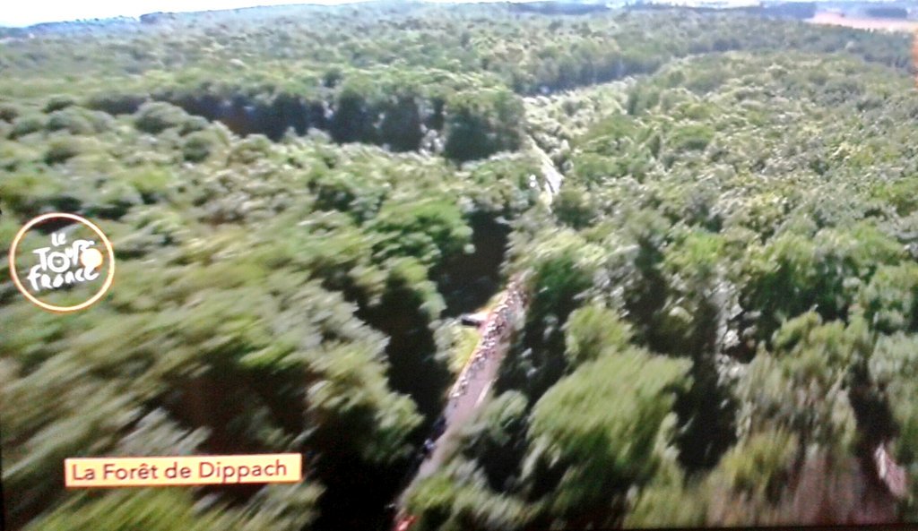 juanfdelacruz's tweet photo. Bosques de #Dippach.
#TDF2017 #ciclismo #cycling #paisajes #landscapes https://t.co/N90CNjqStF