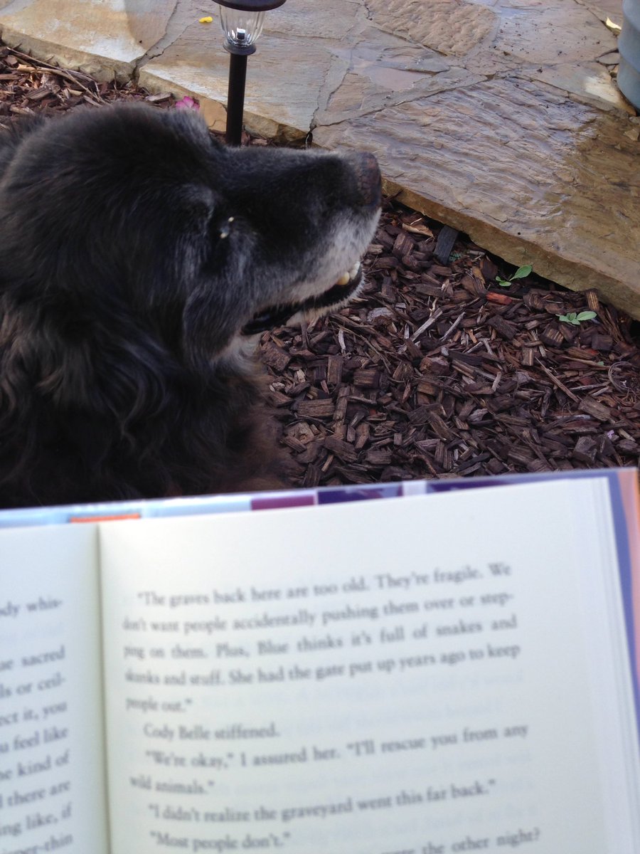 tlmoney's tweet photo. Reading The Key to Extrordinary this AM on the swing with our old Mercie! #LBEdogdays .@Longbranch_Elem .@LBEMediaCenter https://t.co/fG9rRAzQOm