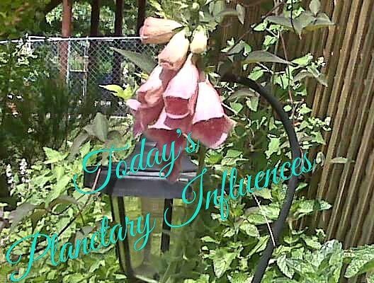 KathrynKauffma2's tweet photo. The moon is 74% waxing today sign of Scorpio Frustrations  contagious today #psychicinlexington #astrology #moon #moonenergy #mooninfluence https://t.co/JgvwBVHYvJ