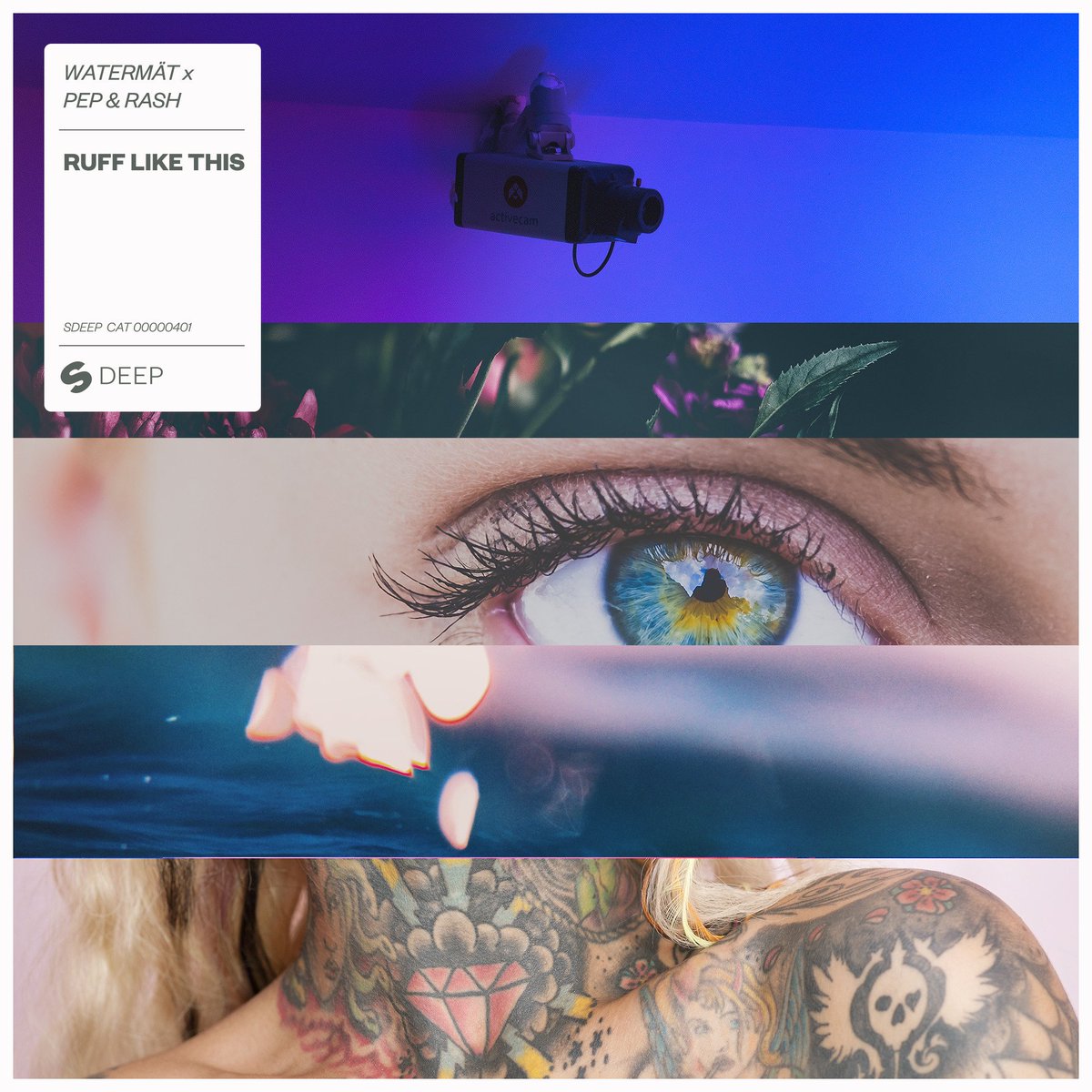 PEP & RASH tweet media