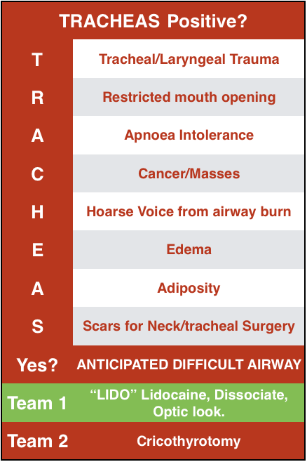 grade1view's tweet photo. After feedback from Dr Ron Walls A-LEMON2 has changed to TRACHEAS for the predicted difficult airway @emcrit @kovacsgj @TraumaNSMedical https://t.co/Y3oXD3XqMT