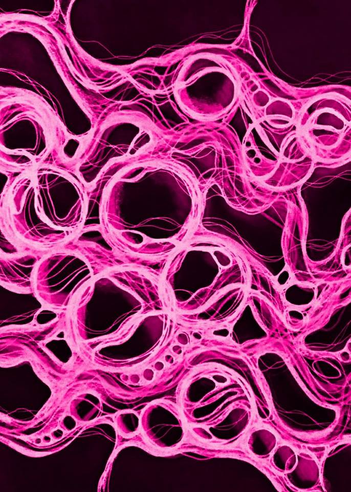 #Нейрографика #НейроАрт

Завораживает...)

Gabriele Freischlad
#NeuroGraphicaArt

facebook.com/groups/archili…