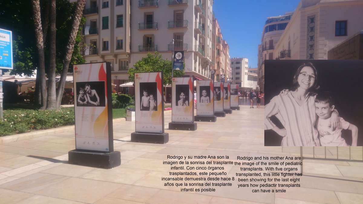 Passing without looking was almost impossible. @WTGMalaga2017 organ donation awareness to the max. 👍 <a href="/donorinfo/">NTS - Nederlandse Transplantatie Stichting</a> <a href="/GTCumcg/">UMCG Transplantatie</a>