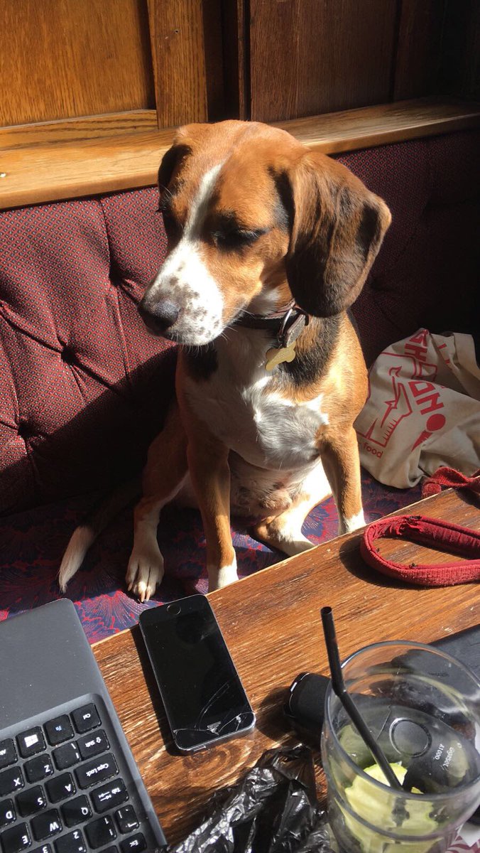 The Islingword tweet media