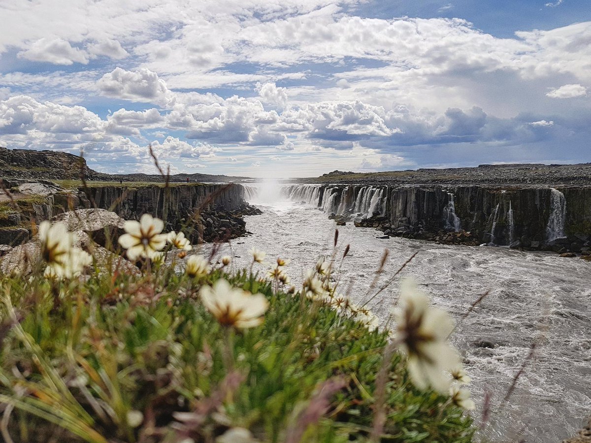 CInsolites's tweet photo. Chloé a soufflé 30 bougies cette semaine... en Islande ! 
til hamingju með afmælið Chloé ! 
#Iceland #beautifulcountry https://t.co/T09ZaXmwXj