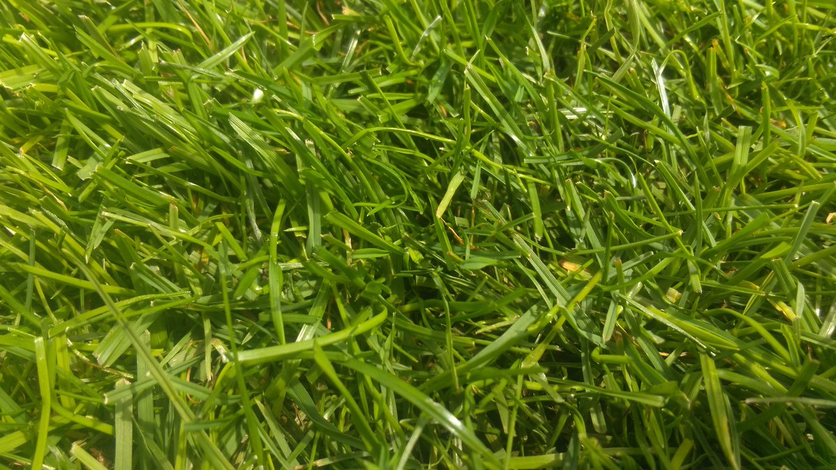 johnledwidge's tweet image. Great to visit the turf farm today with @DuffGMD to see the @dessosports playmaster. 2 weeks until we install it. #turfnerd #playmaster