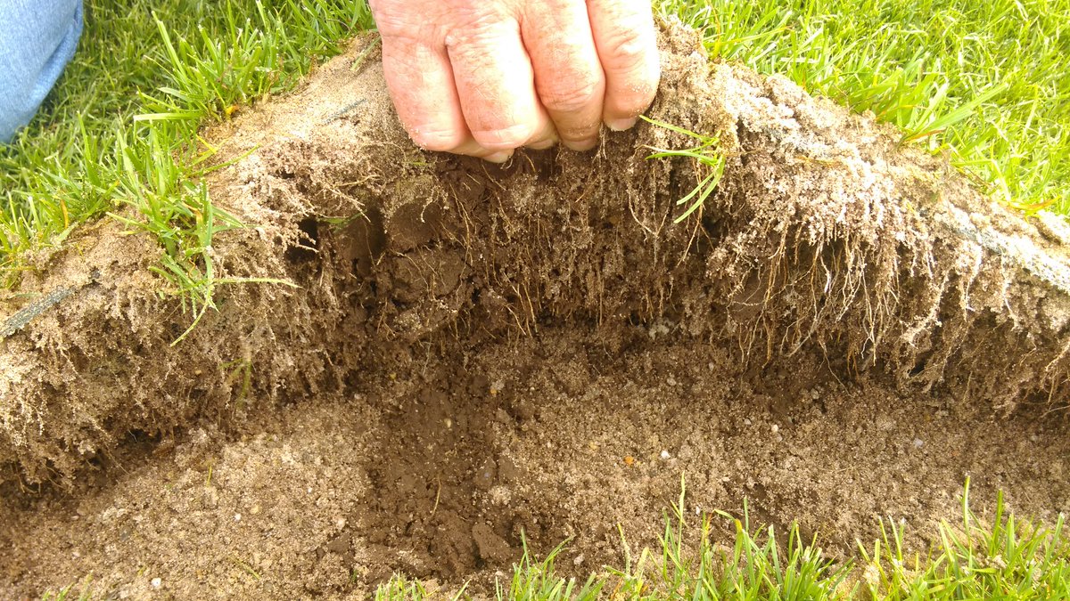 johnledwidge's tweet image. Great to visit the turf farm today with @DuffGMD to see the @dessosports playmaster. 2 weeks until we install it. #turfnerd #playmaster