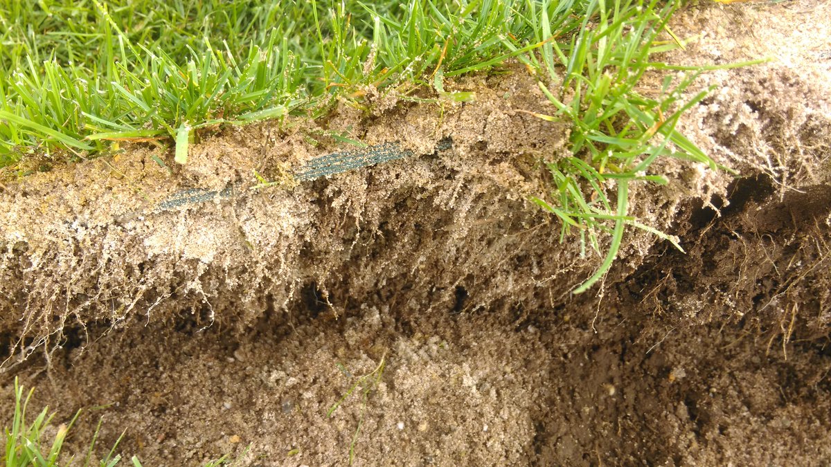 johnledwidge's tweet image. Great to visit the turf farm today with @DuffGMD to see the @dessosports playmaster. 2 weeks until we install it. #turfnerd #playmaster