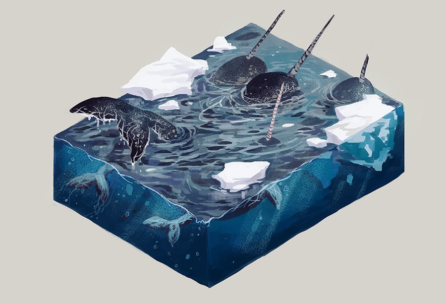 Corinne🐣 tweet media