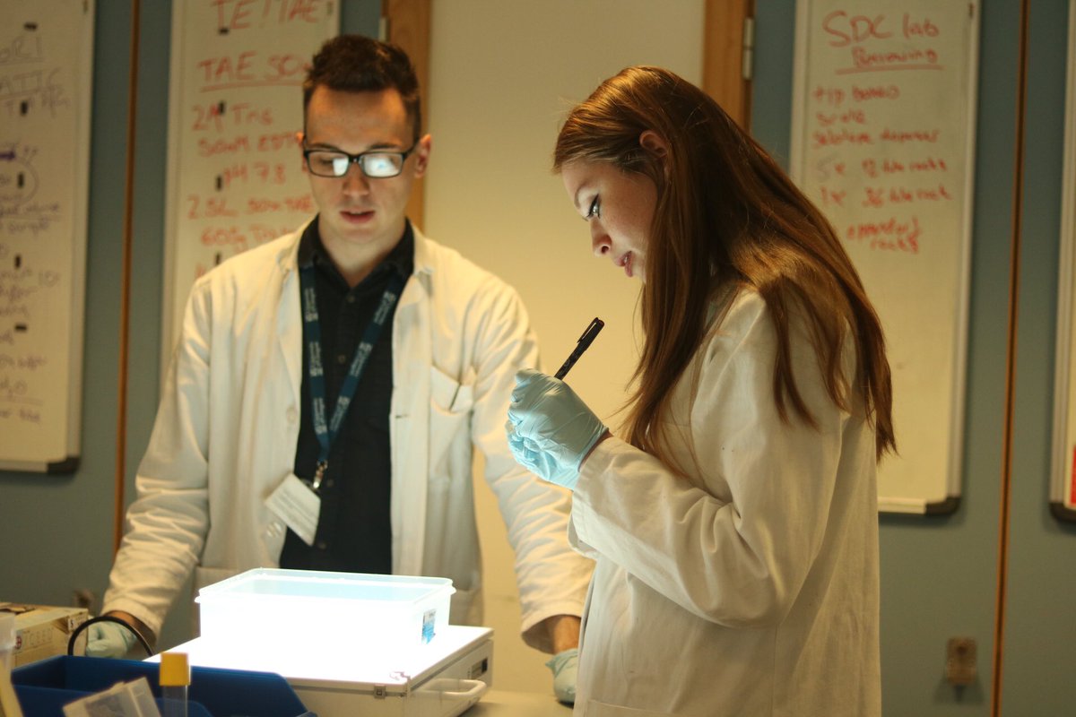 Glasgow_iGEM's tweet image. Doing a gel extraction #Topbanter #lablyfe #wedidntchoosethelablyfethelablyfechoseus #igem2017 #igem