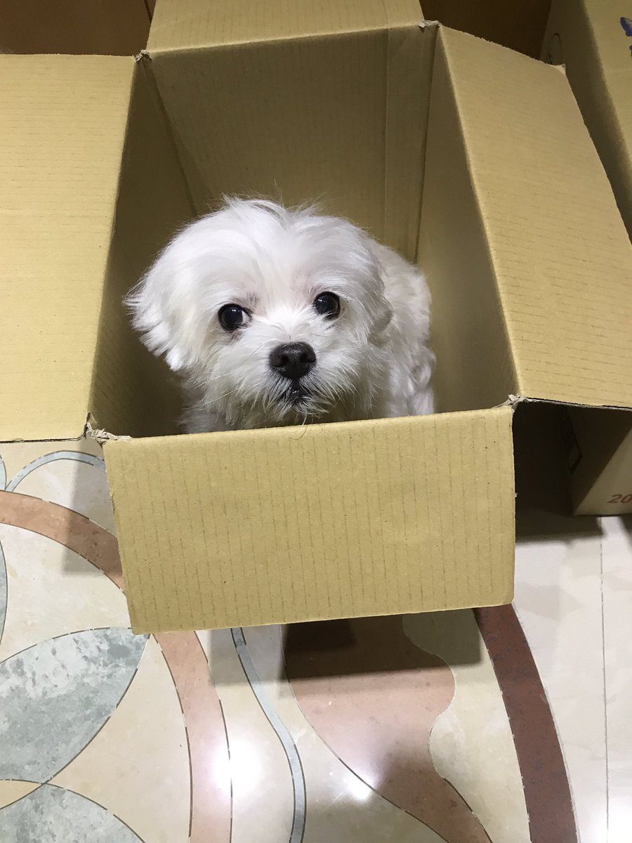 Marvel09089's tweet photo. 大家一直覺得要背叛家的人就別當他為家人了，剩下的人一定要同進退；可是我怎麽感覺越來越不是這麼一回事，大家從一開始沒多久就只想著自己，好像只有我還傻傻的看待這所謂的親情是存在的...

#Mementomori
#YOLO13
#閉嘴關耳朵
#就活在自己世界
#也想逃離 https://t.co/vlN16IRqWK