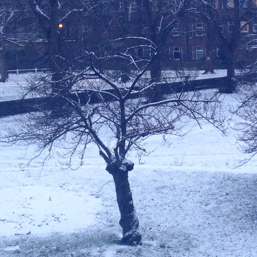 sequinsue's tweet image. Four seasons in one tree (part two)