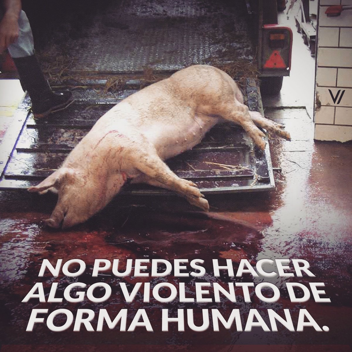 sentimosxigual's tweet image. Por más que se empeñen es imposible.