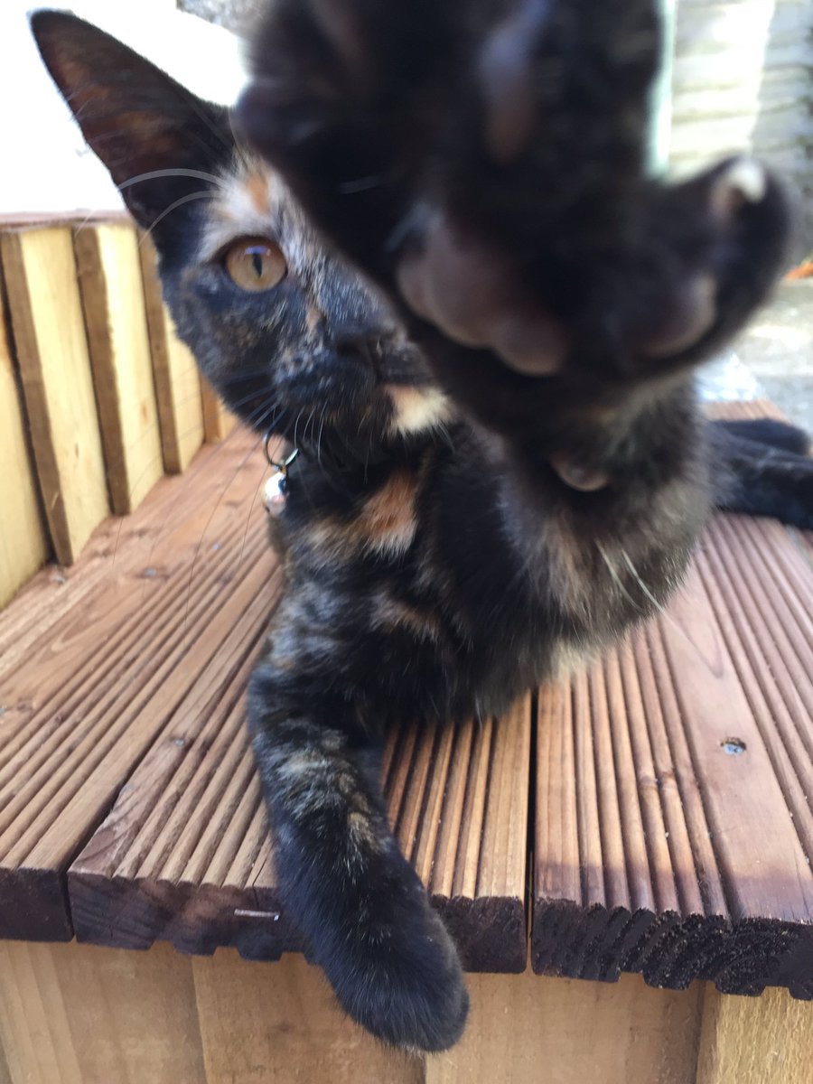 basicourts's tweet image. when did u get so big 😩