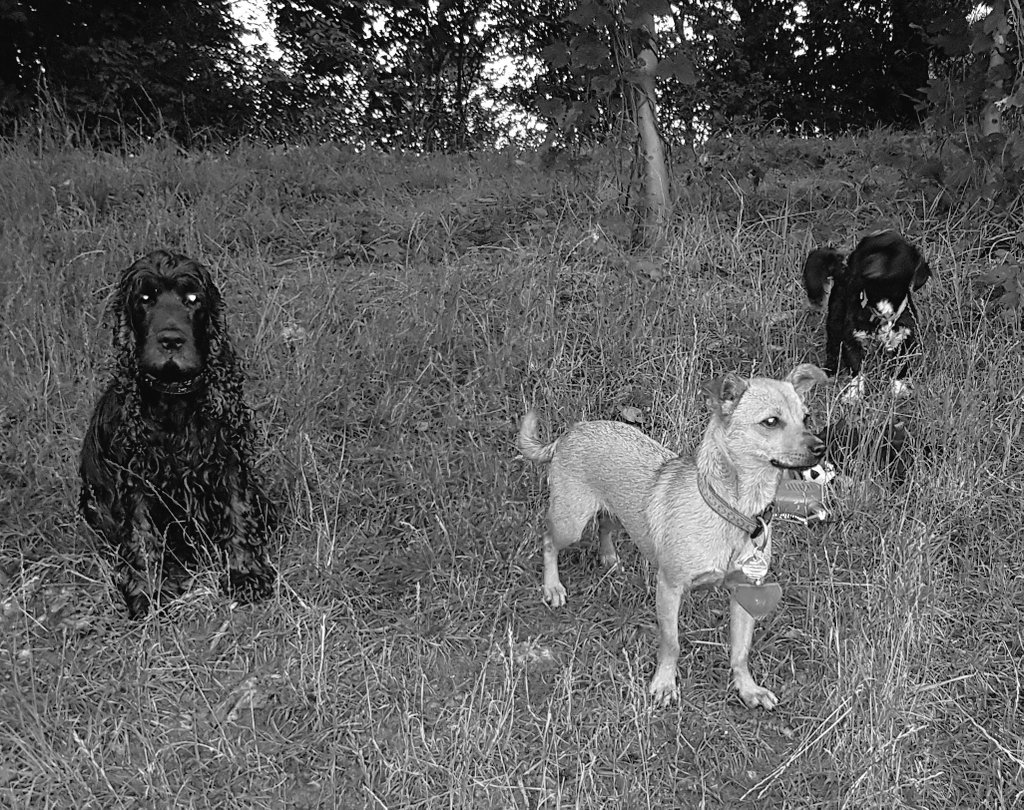 MolletNicu97's tweet image. 