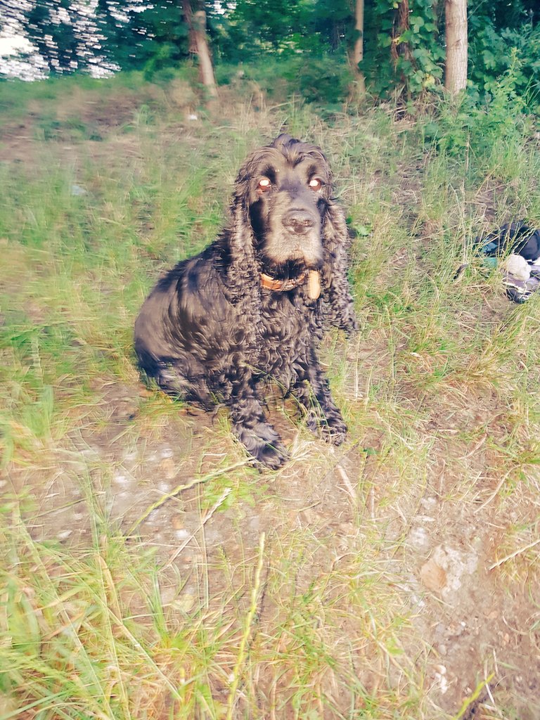 MolletNicu97's tweet image. 