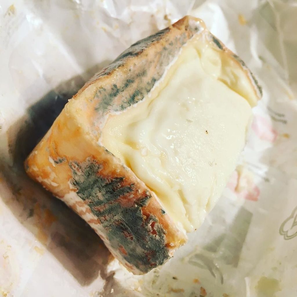DropbarCycling's tweet photo. #refueling with some fine #italiancheese #drpbr #dropbars #roadcycling #tasty #food #cheese #nomeat #allsafe https://t.co/K3dE89JB6l