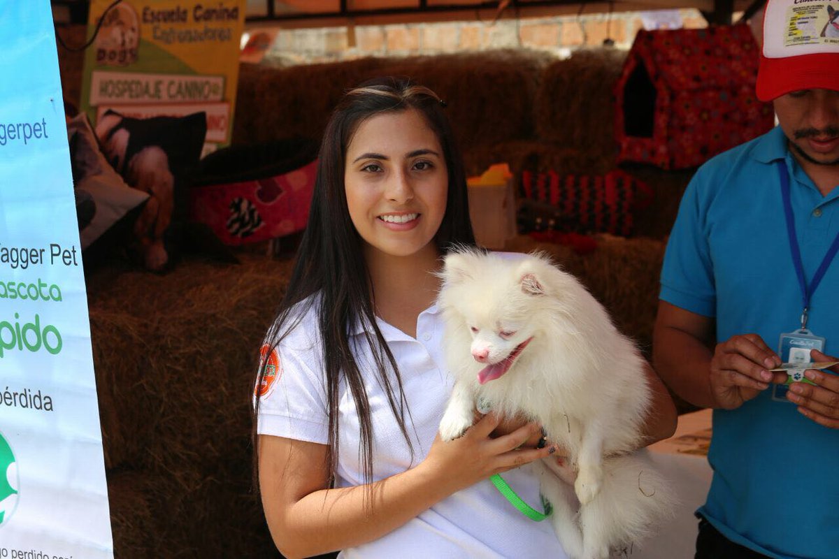 sabanetapdama's tweet photo. Hoy terminamos la #FeriaFamiliar dedicada a nuestras mascotas. Gracias a todos por su participación y excelente comportamiento. https://t.co/vqOiorGFe9