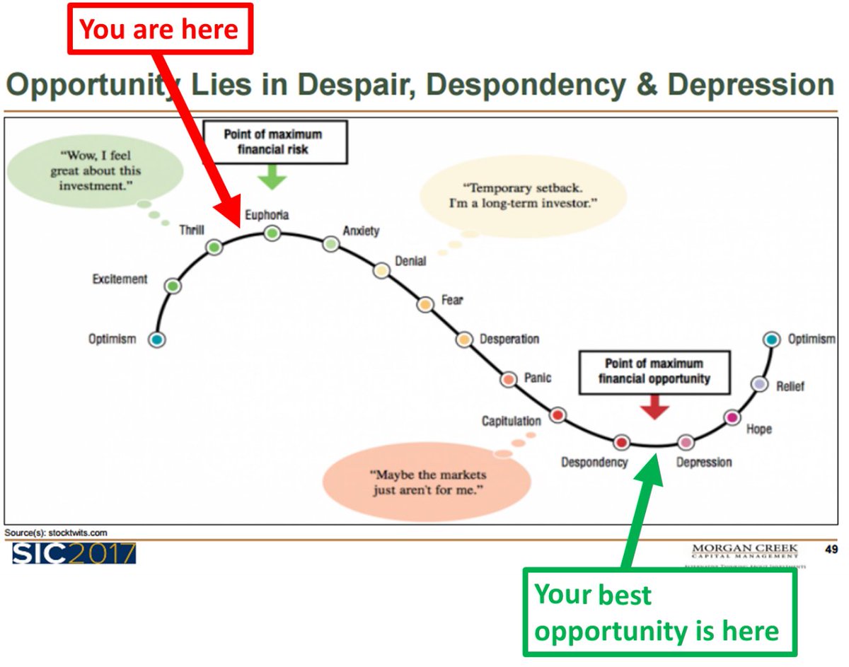 Shawn Langlois tweet media